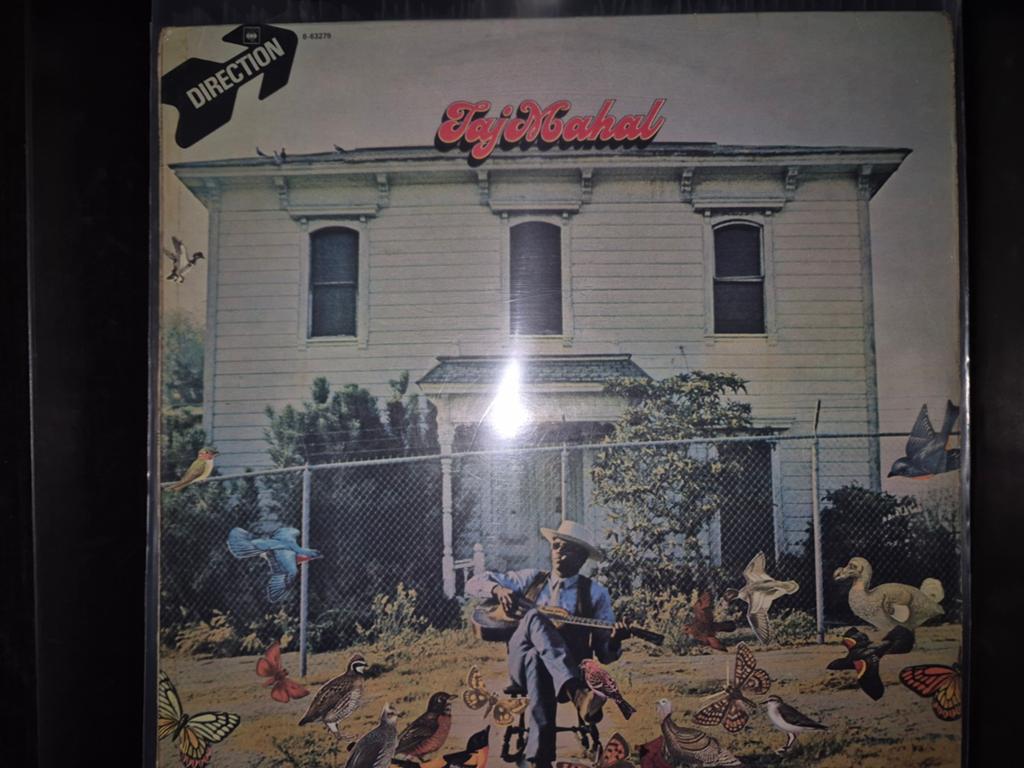 Taj Mahal, Cd's en Dvd's, Vinyl | Rock, Gebruikt, Poprock, 12 inch, Verzenden