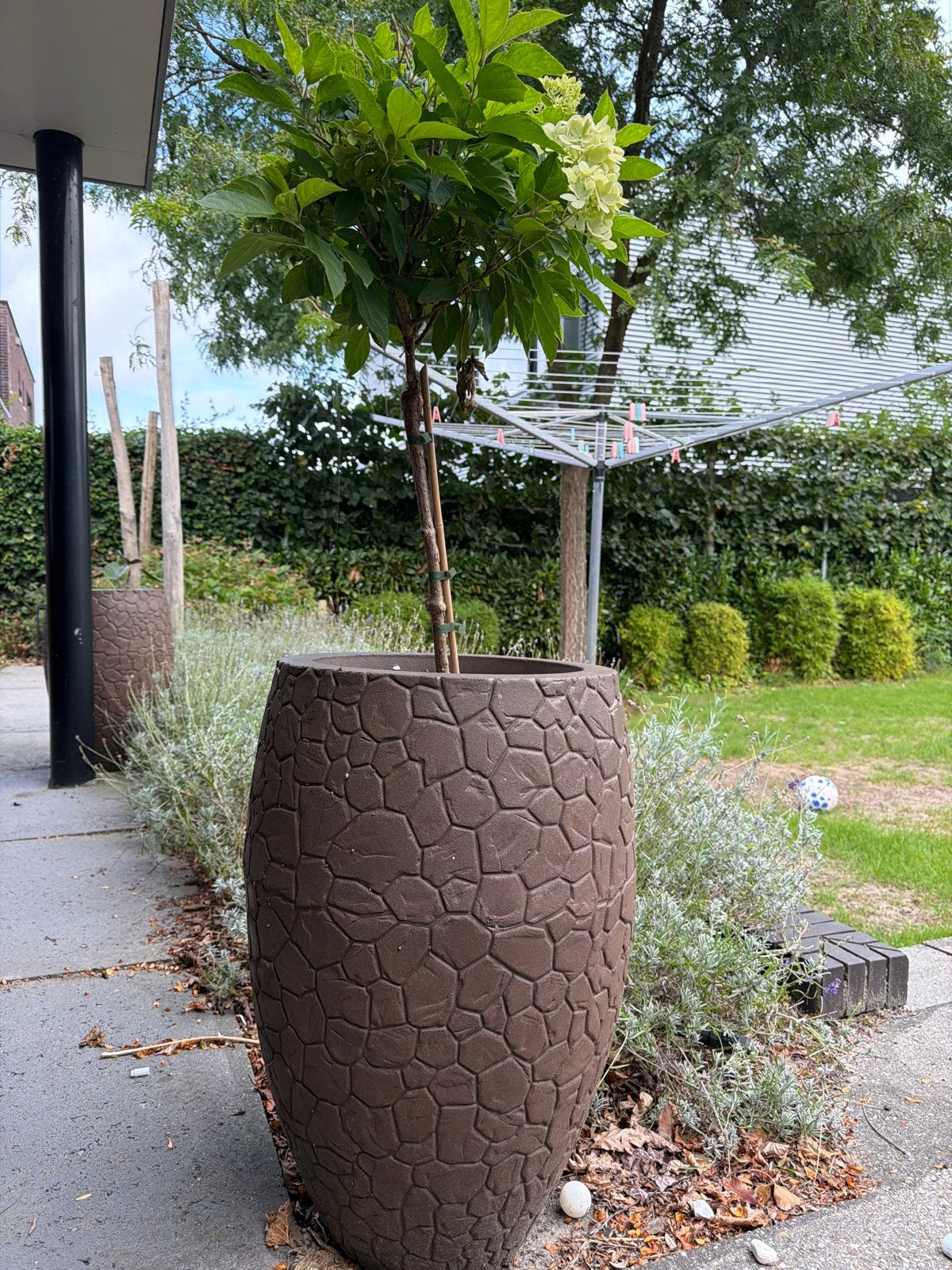 Grote bruine bloempot met uniek patroon, Tuin en Terras, Ophalen, Overige materialen, Gebruikt, Minder dan 60 cm