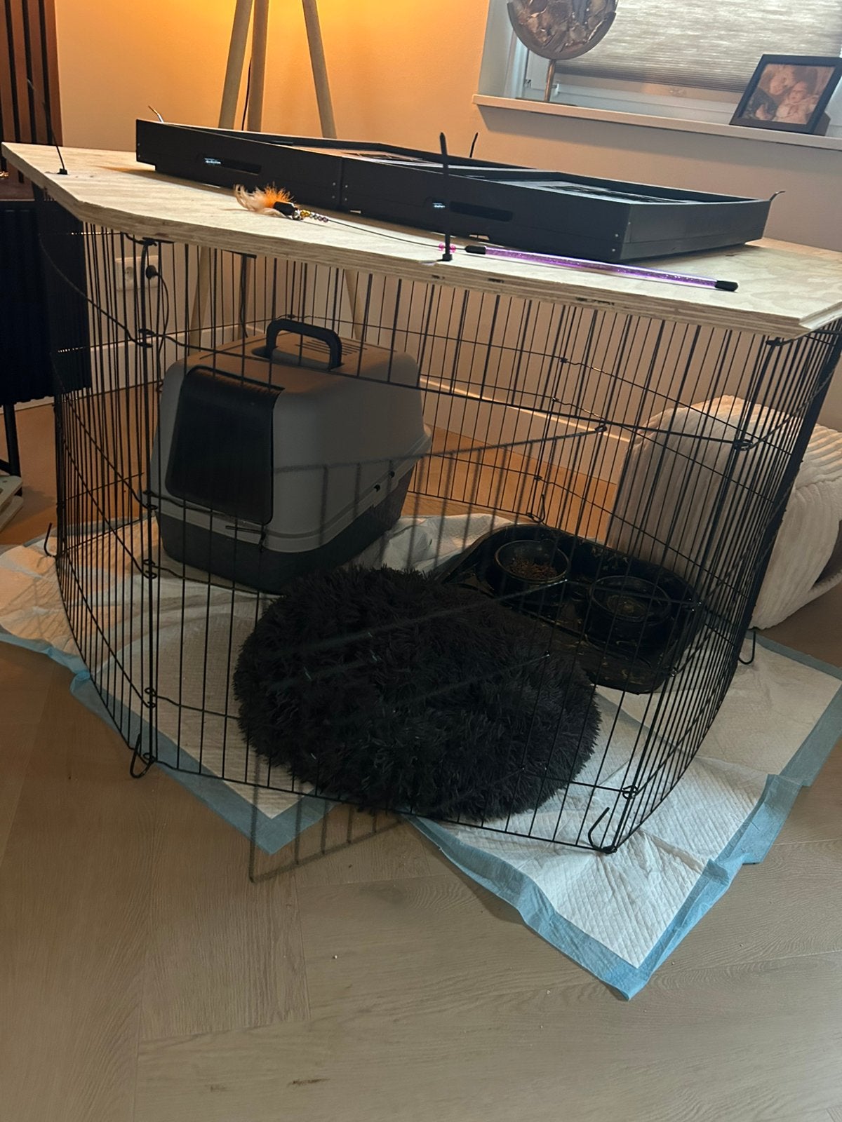 Knaagdieren ren / kittenren, Ophalen, Zo goed als nieuw