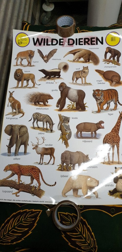 poster e-c-p wilde dieren, Ophalen of Verzenden, 'T Olde Gre-j, Info@toldegrej.nl, Endepoelstraat 20f Didam