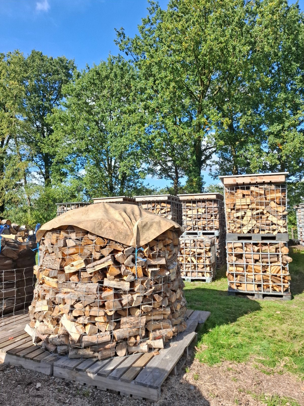 Brandhout: Eikenhout en Overige Houtsoorten, 6 m³ of meer, Ophalen, Eikenhout, Blokken