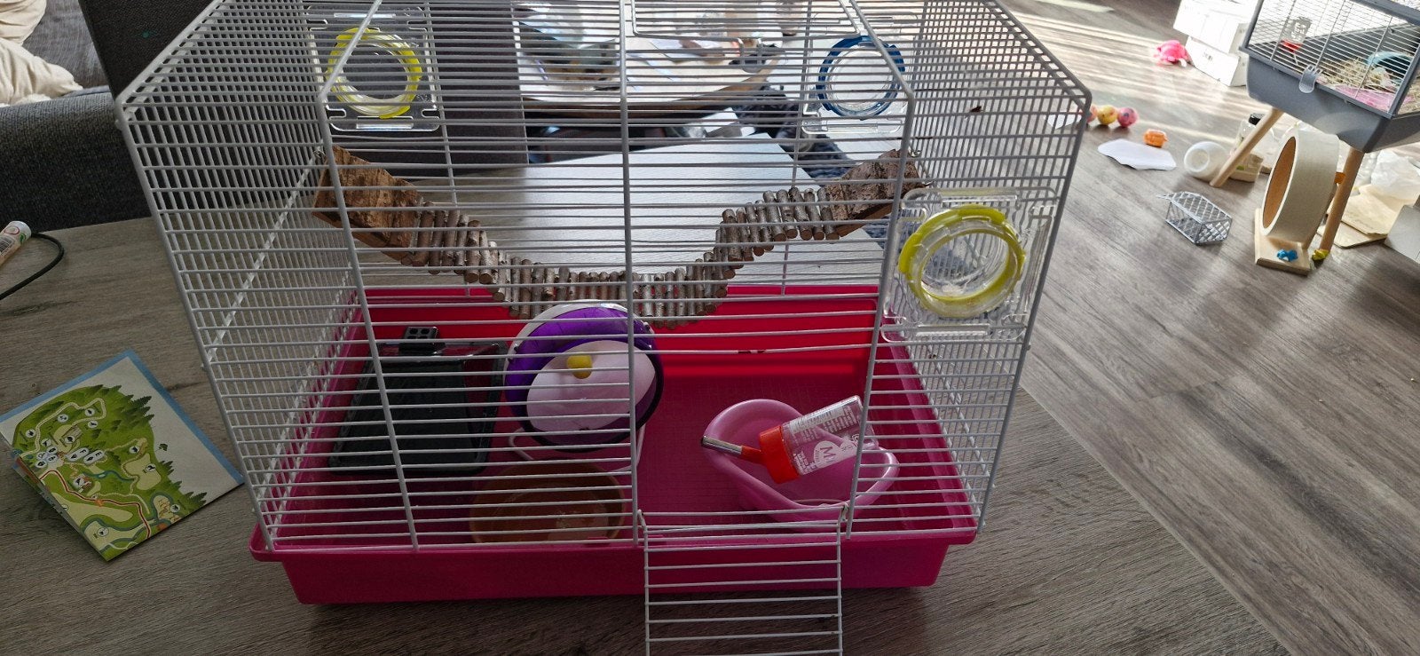Hamsterkooi met accessoires, Dieren en Toebehoren, Ophalen, Minder dan 75 cm, Kooi, Minder dan 60 cm