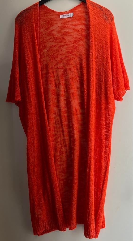 Paprika oranje vest - Maat XL/XXL, Kleding | Dames, Ophalen of Verzenden, Zo goed als nieuw, Maat 46/48 (XL) of groter, Oranje