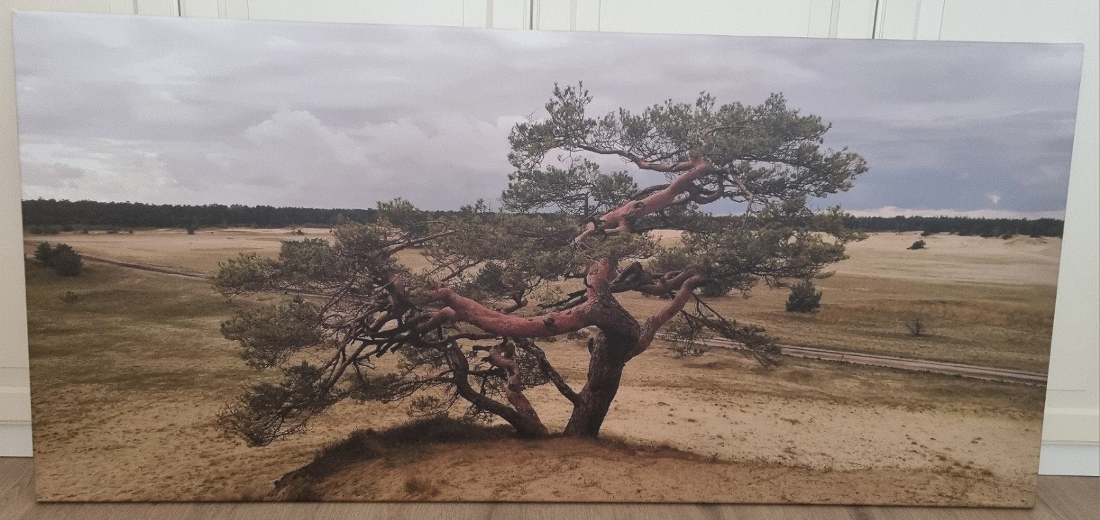 Canvas foto Beekhuizerzand Harderwijk 150x70cm, Ophalen, 50 – 75, 125 cm of meer, Zo goed als nieuw
