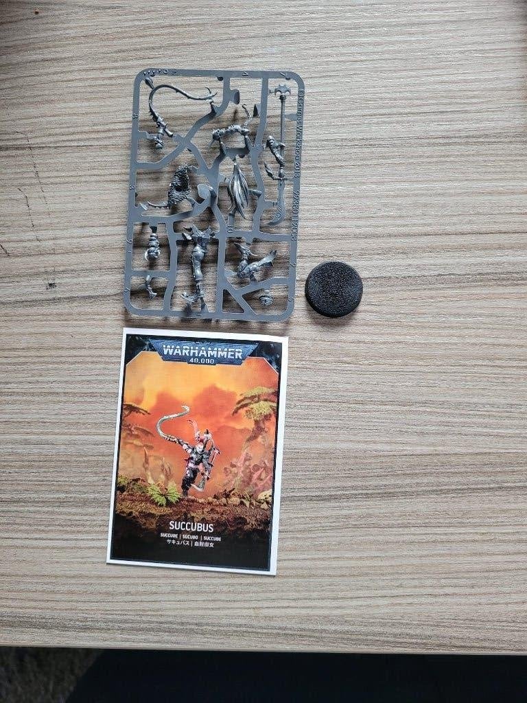 Warhammer 40k - Drukhari/Dark Eldar 1x Succubus op sprue, Ophalen of Verzenden, Nieuw, Warhammer