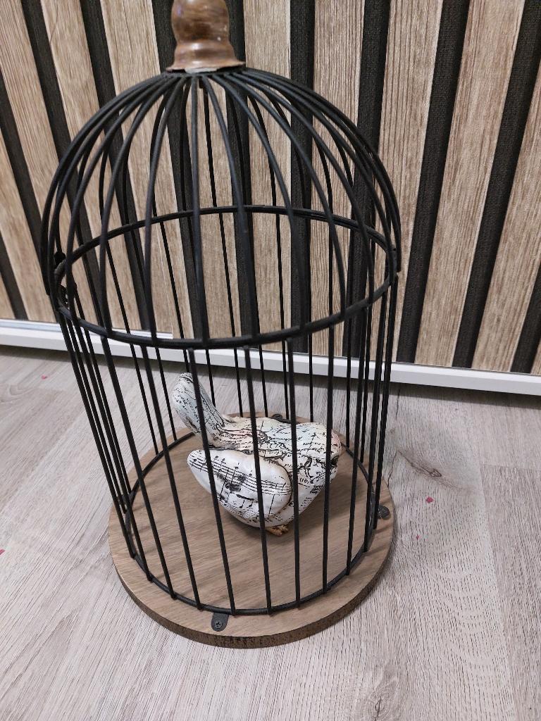 Vogelkooi met Nepvogel, Ophalen of Verzenden, Zo goed als nieuw, Metaal