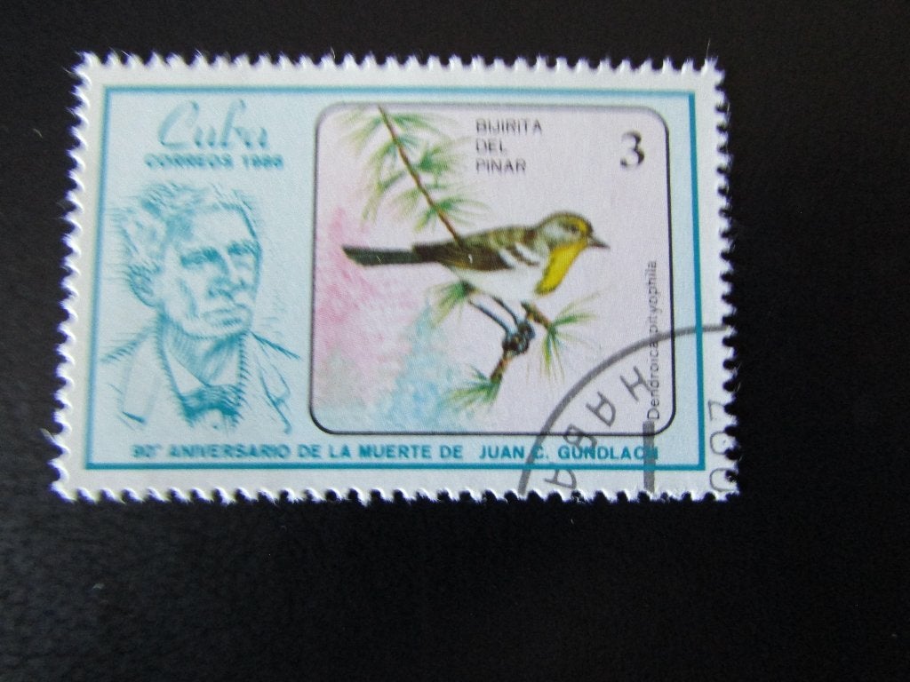 Postzegel Vogel: Cuba-Zanger uit Cuba, Ophalen of Verzenden, Gestempeld, Dier of Natuur