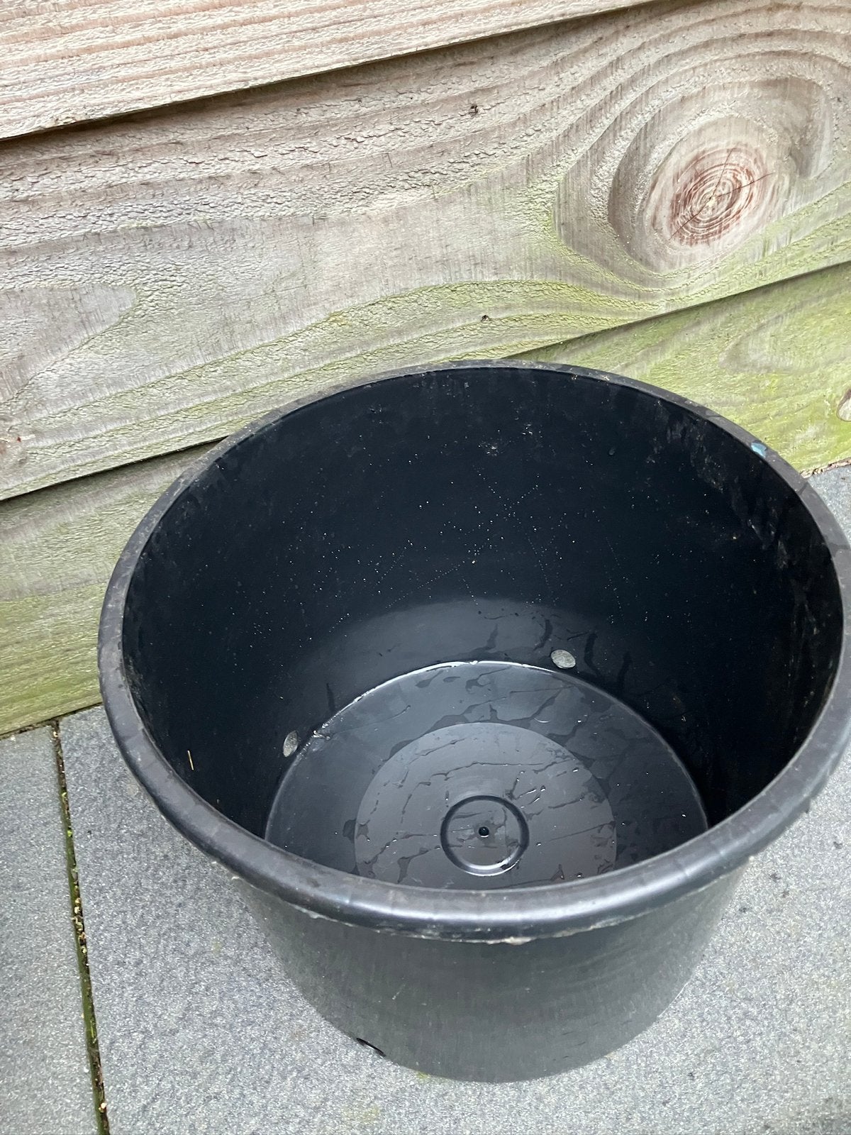 Kerstboom containers, Ophalen, Volle zon, Overige soorten