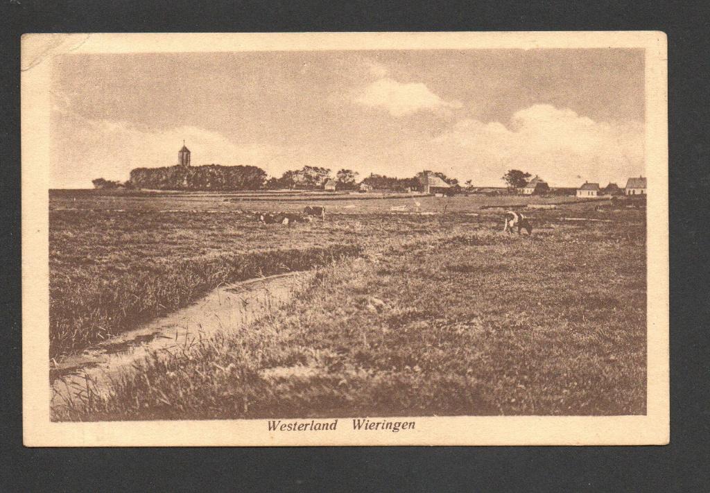 Westerland, Wieringen., Ophalen of Verzenden, Voor 1920, Ongelopen, Noord-Holland