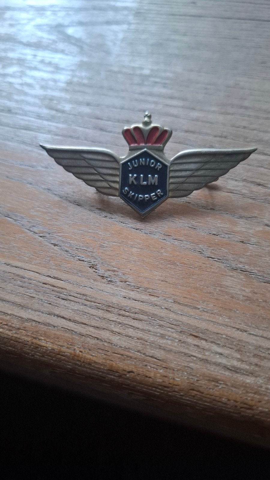 speld insigne klm junior skipper luchtvaart stewardess, Ophalen of Verzenden, Patch, Badge of Embleem