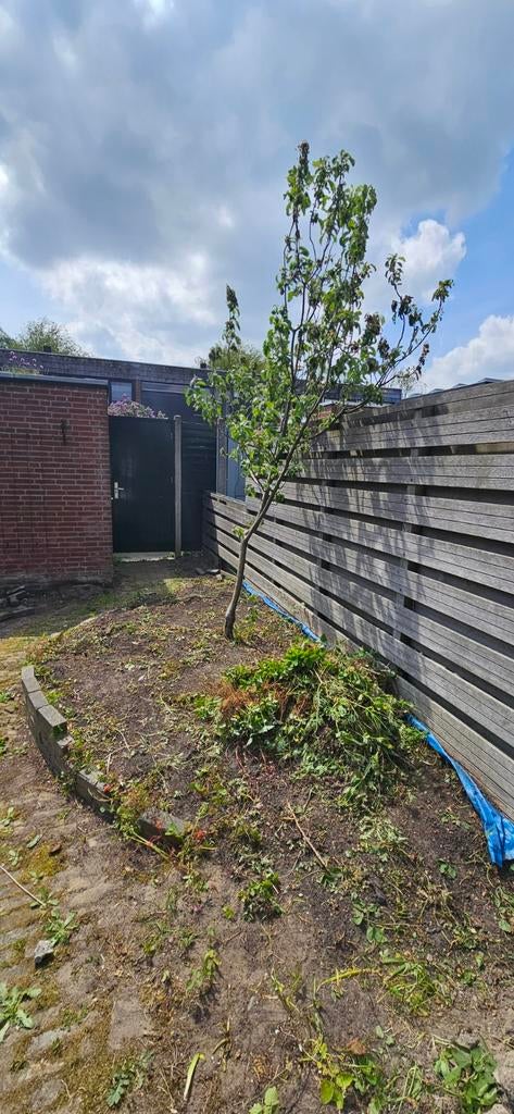 Appelboom, Ophalen, Appelboom, Lente