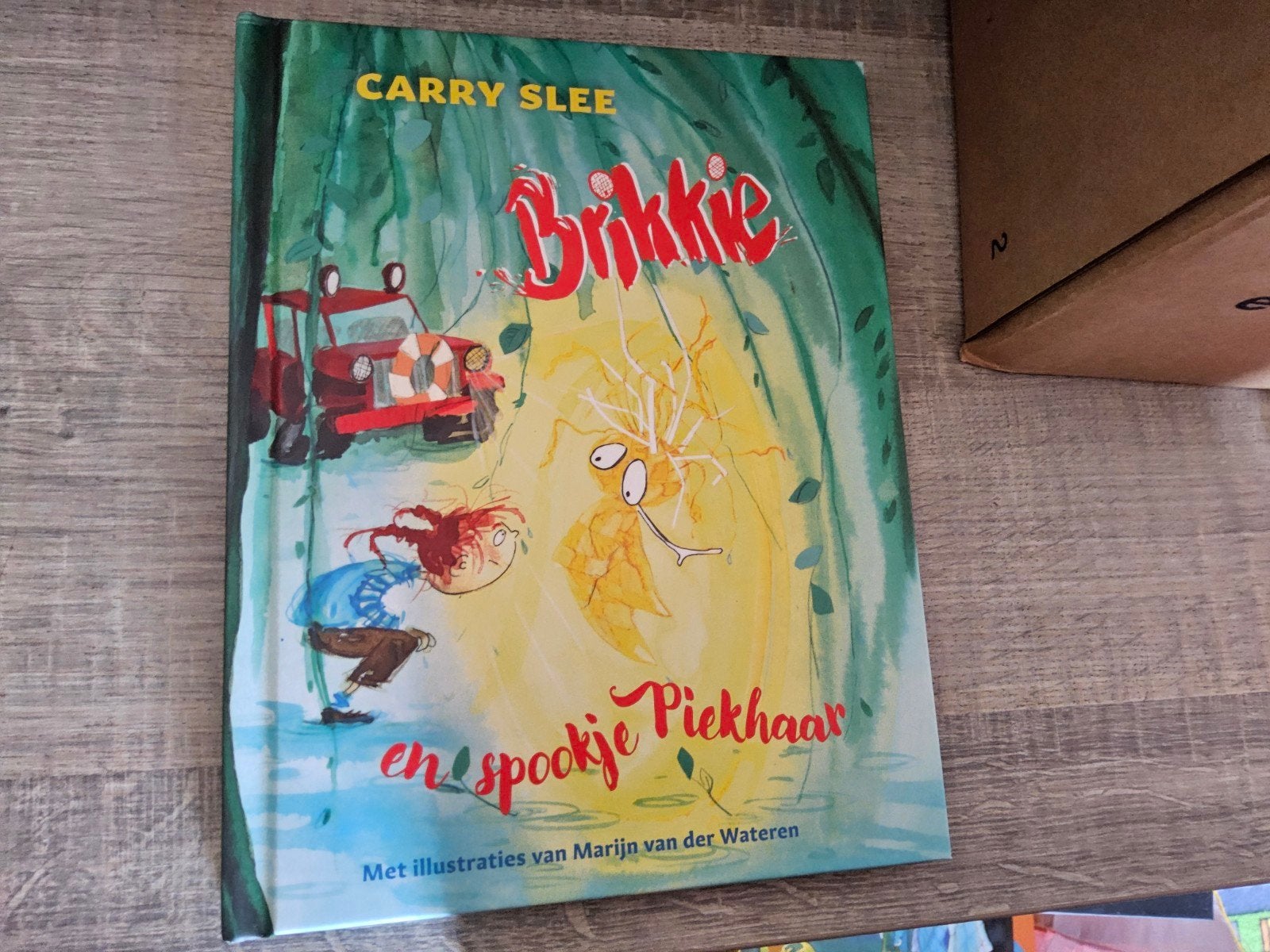 Carry slee boek: Brikkie en spookje Piekhaar., Ophalen of Verzenden, Zo goed als nieuw
