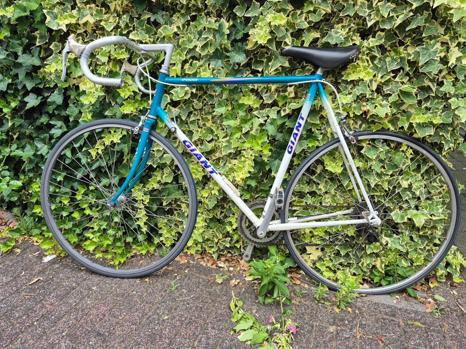 Giant Speeder, Fietsen en Brommers, Fietsen | Racefietsen, Ophalen, Gebruikt, Aluminium, Giant