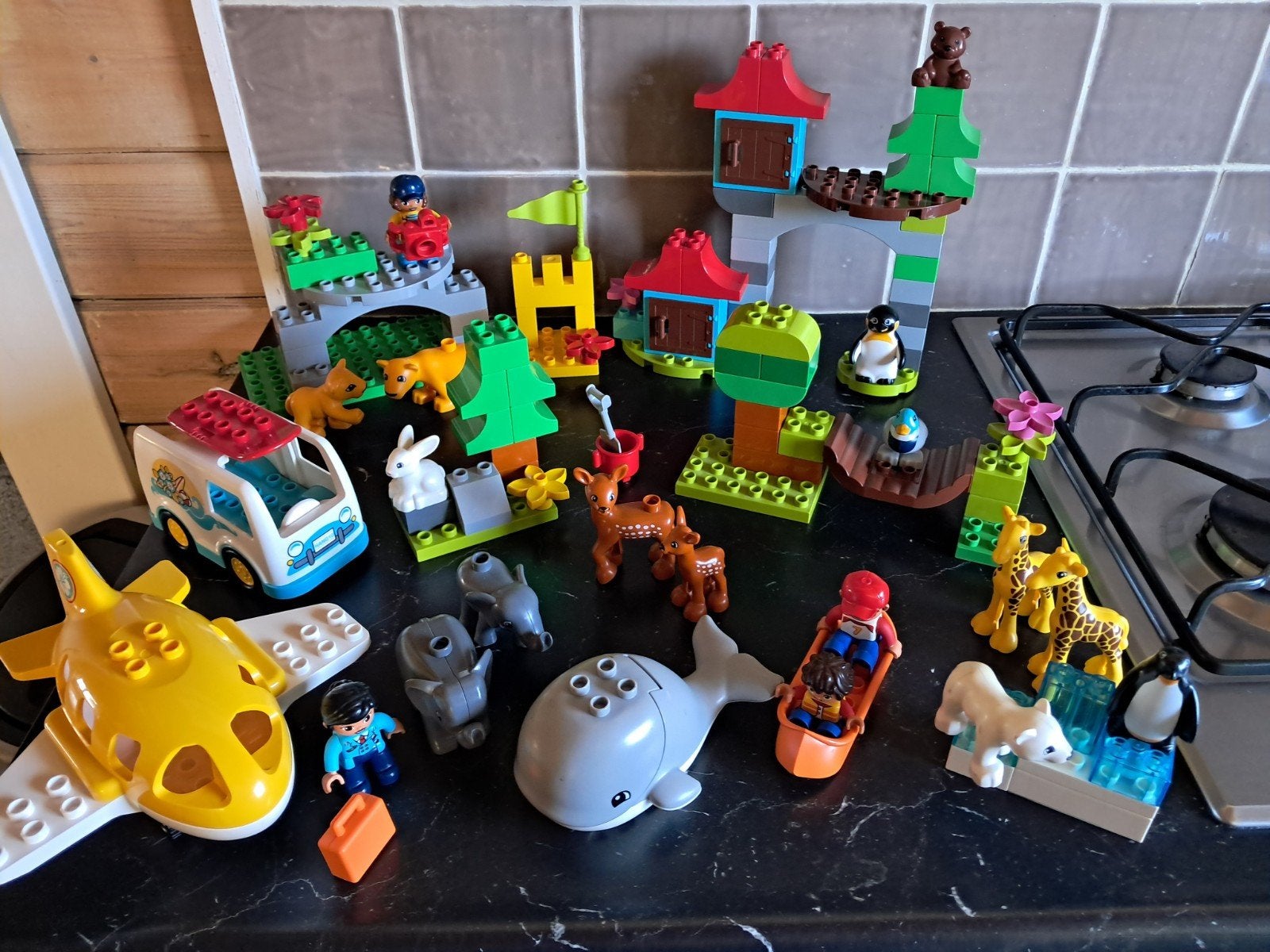 Duplo Dieren van de wereld, Ophalen of Verzenden, Zo goed als nieuw, Duplo