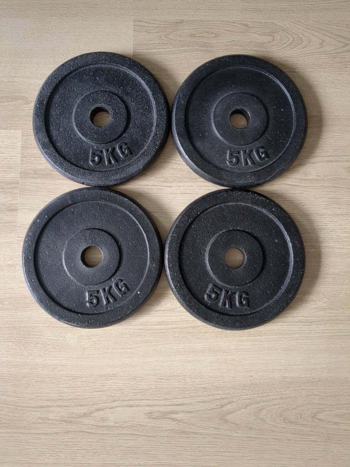 4x 5 kg gietijzeren halterschijven, Sport en Fitness, Fitnessmaterialen, Ophalen, Zo goed als nieuw, Halterschijven