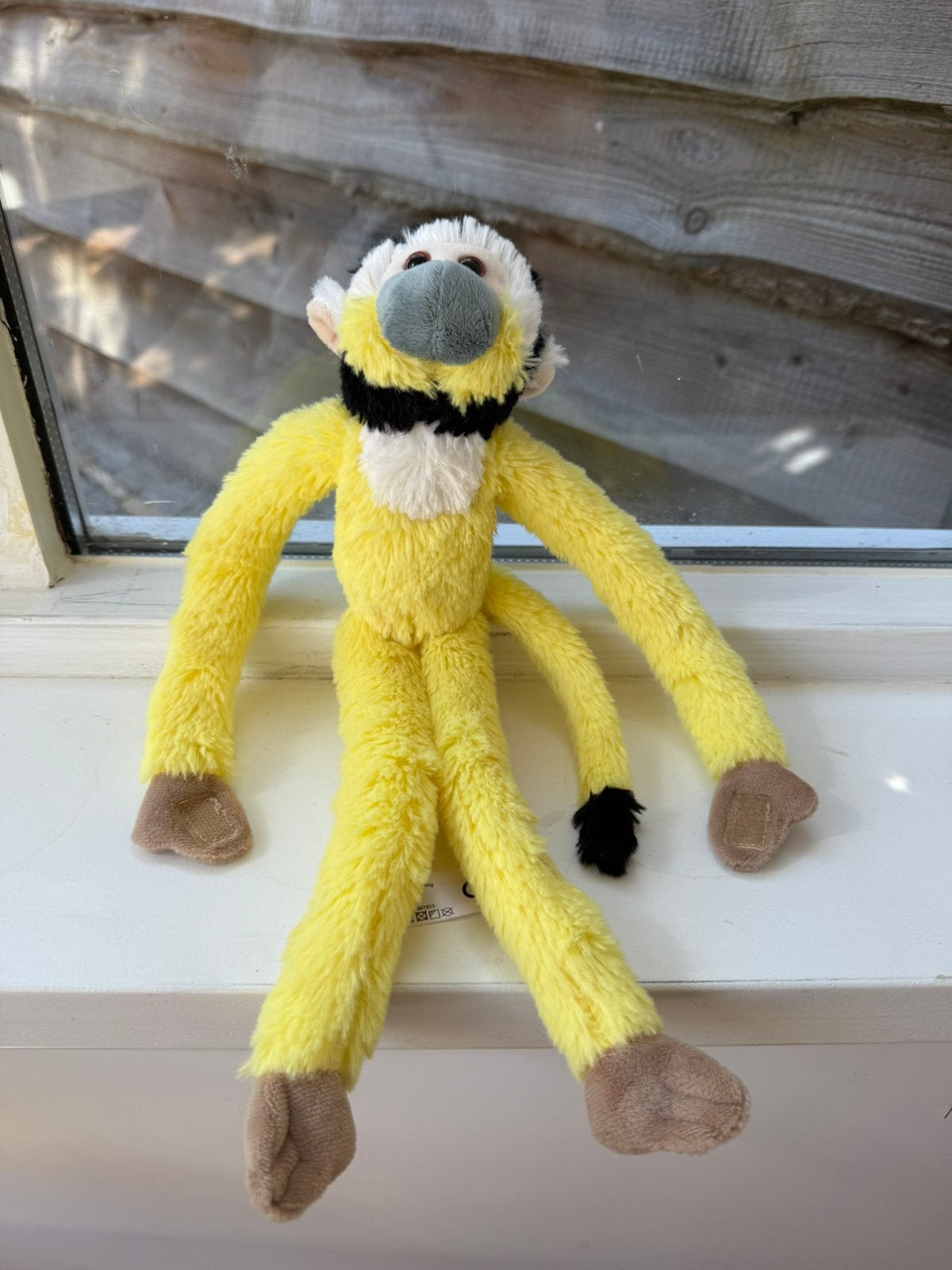 Doodskop aapje Apenheul, Ophalen of Verzenden, Nieuw, Aap