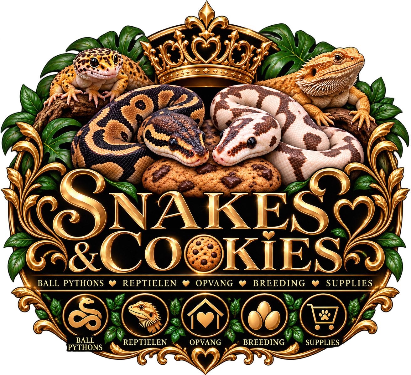 Snakes & Cookies Ball Python photo 2