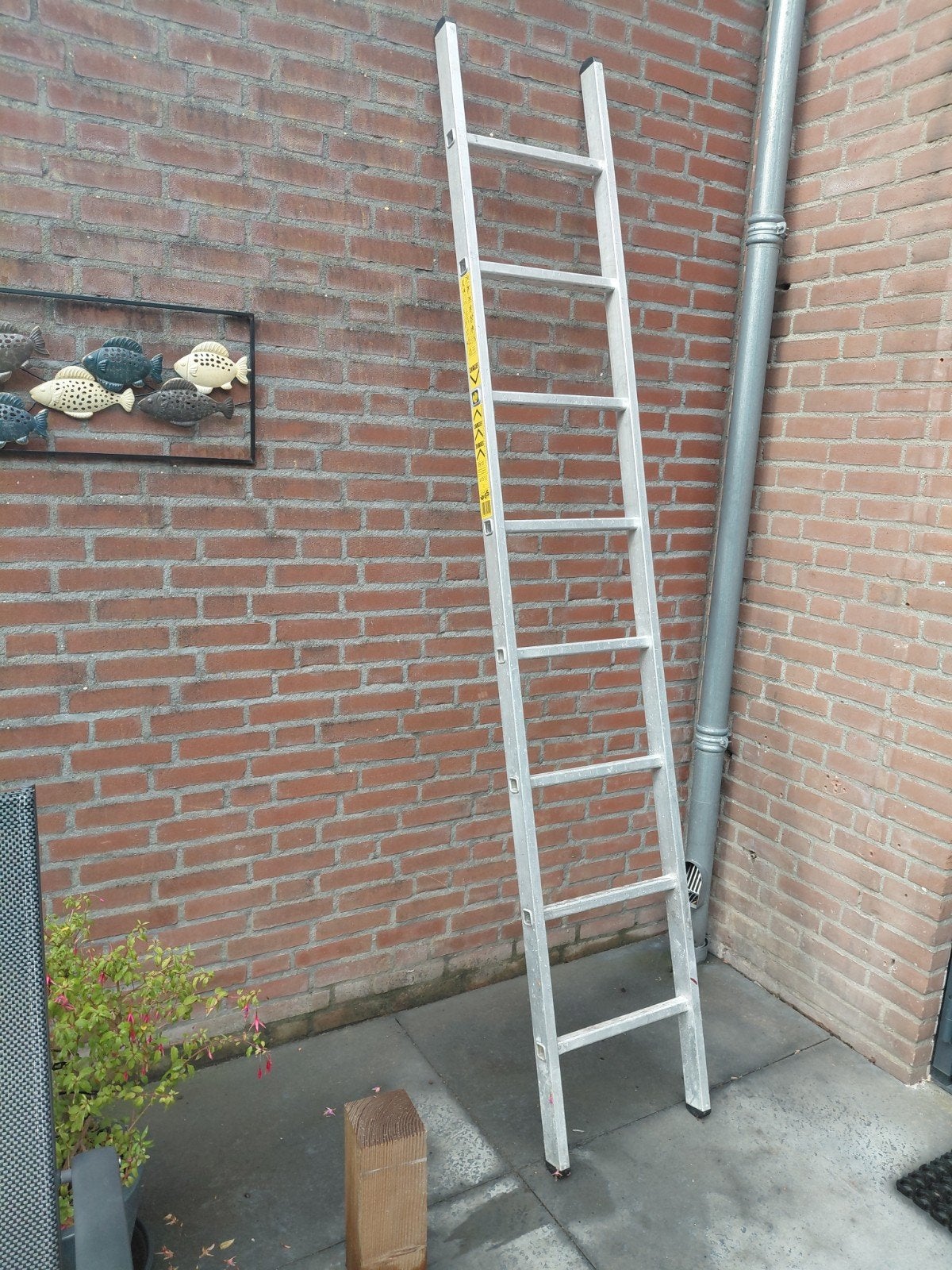 ladder 8 treden 2.5 meter, Doe-het-zelf en Verbouw, Ladders en Trappen, Ophalen, 4 meter of meer
