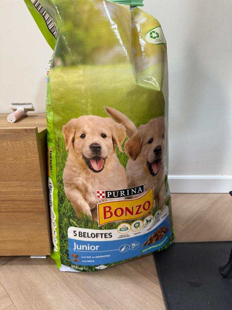 Bonzo puppy brok, Ophalen of Verzenden, Hond