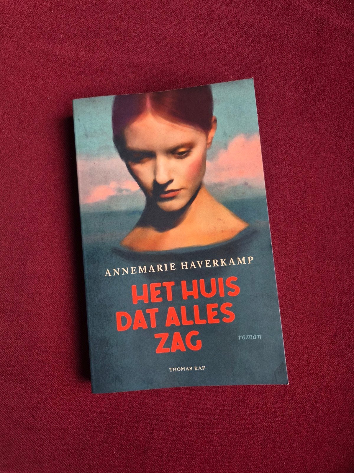 Annemarie Haverkamp - Het huis dat alles zag, Ophalen of Verzenden, Zo goed als nieuw, Nederland, Annemarie Haverkamp