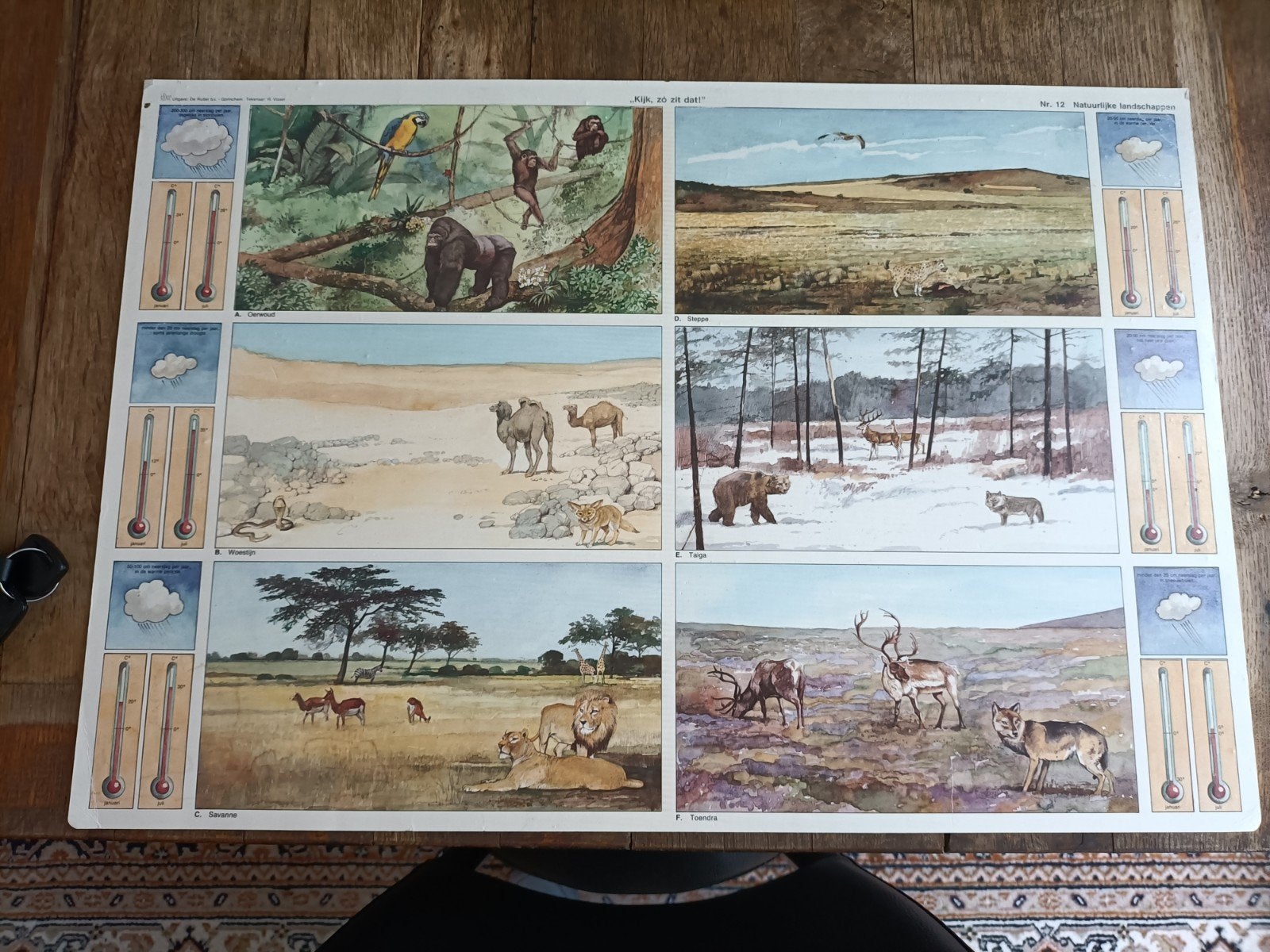 Vintage schoolplaat Natuurlijke Landschappen R. Visser, Ophalen of Verzenden