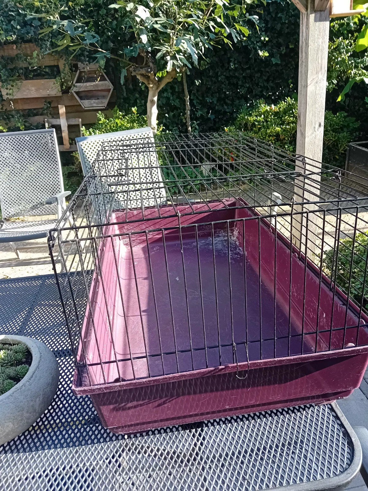 dwerg konijn of cavia ren / nachthok, Dieren en Toebehoren, Ophalen