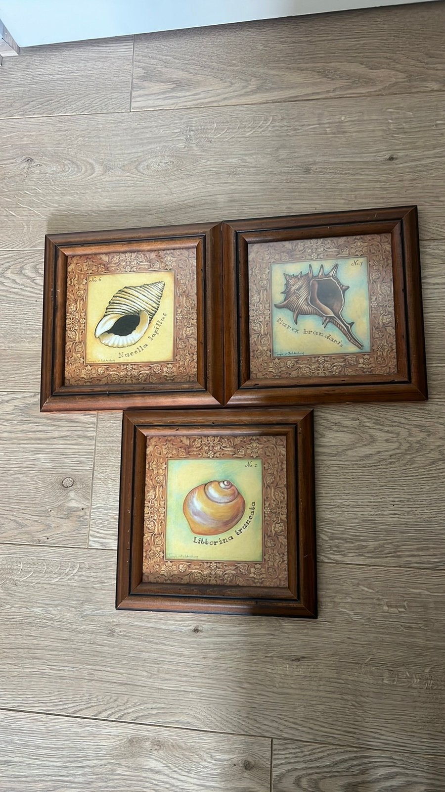 3x brocante schelp schilderij Tanja van Achterberg, Zo goed als nieuw, Overige kleuren, Verwisselbare inhoud, Hout
