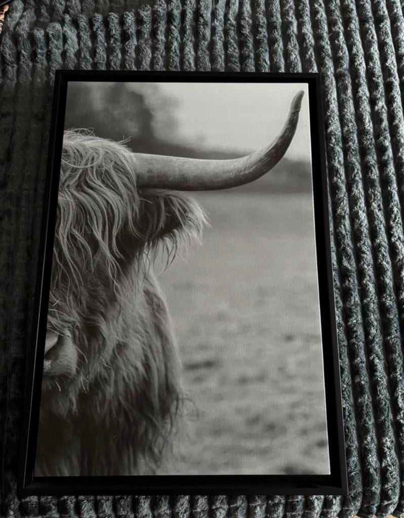 2x canvas, Ophalen of Verzenden, Zo goed als nieuw