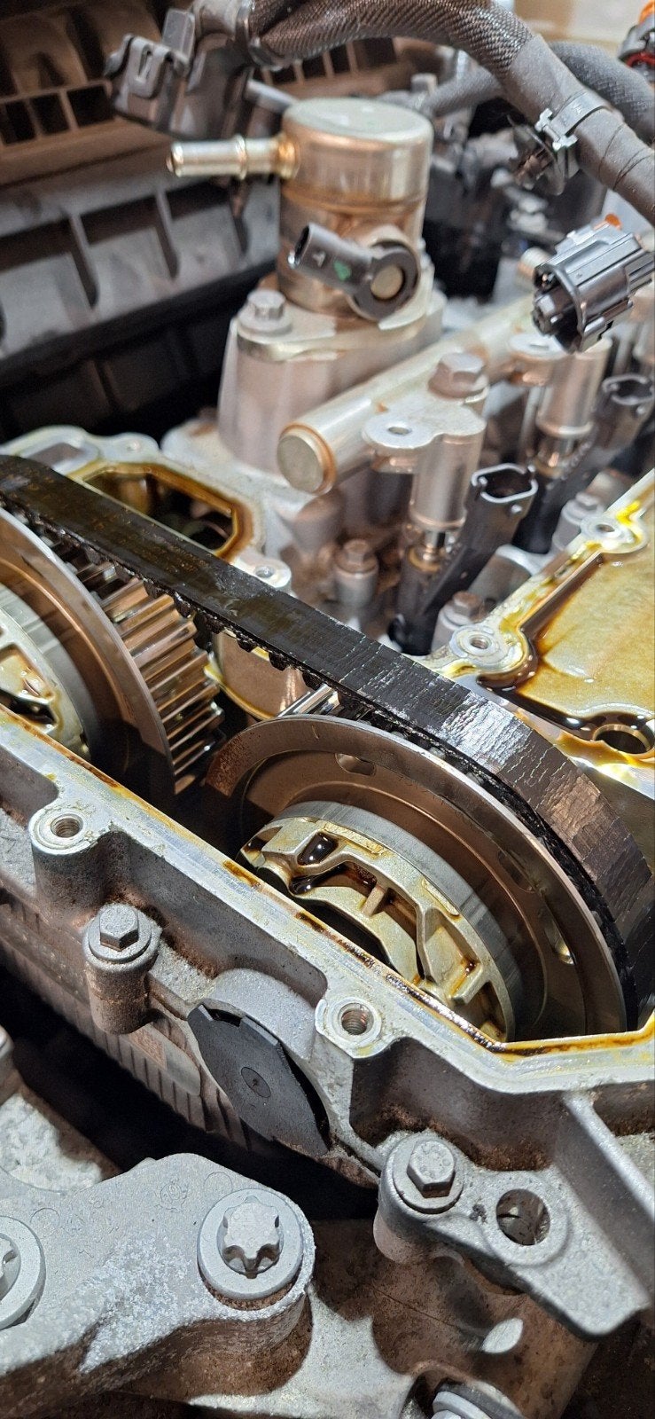 natte distributieriem Peugeot/Citroen/Opel vervangen, Ophalen, Nieuw, Opel