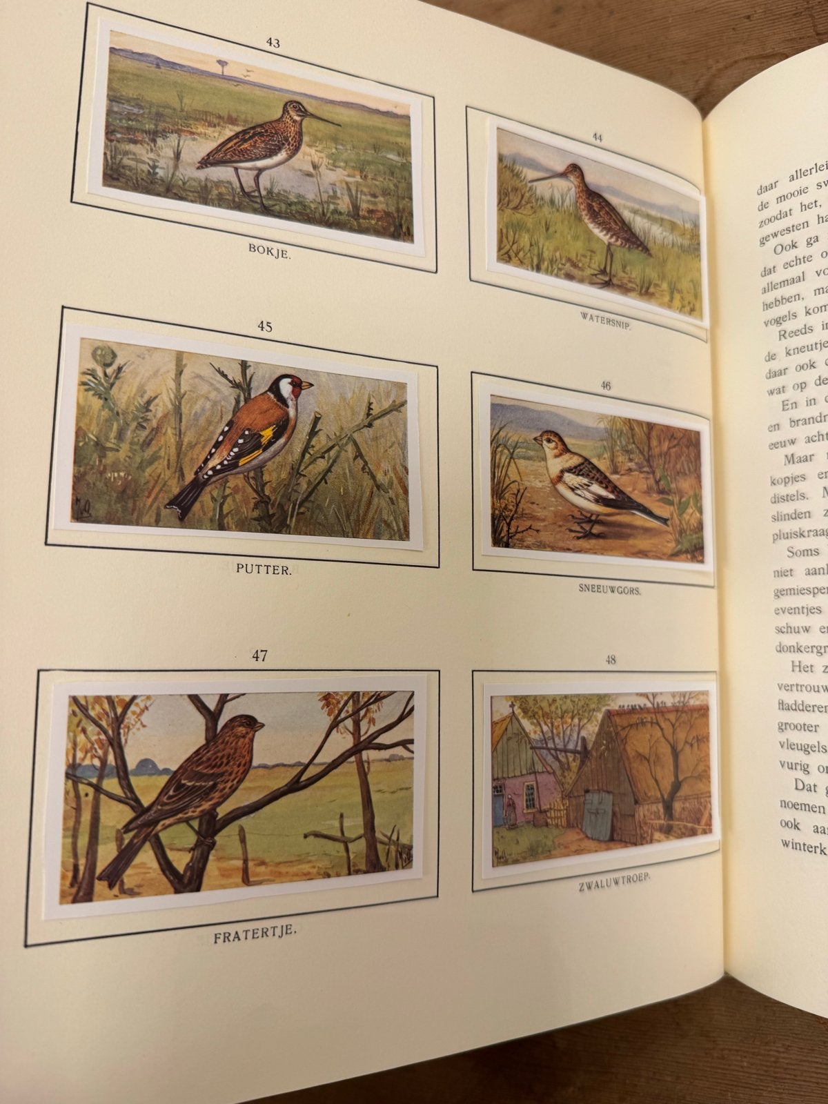 Verkade album JAC. P. Thijsse “Herfst” - Zo goed als nieuw, Ophalen of Verzenden, Zo goed als nieuw, Natuur algemeen