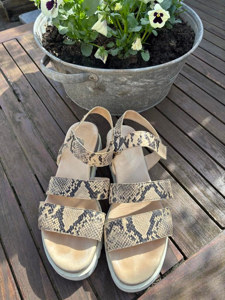 Gabor slangenprint sandalen maat 43, Overige kleuren, Zo goed als nieuw, Sandalen of Muiltjes, Ophalen of Verzenden