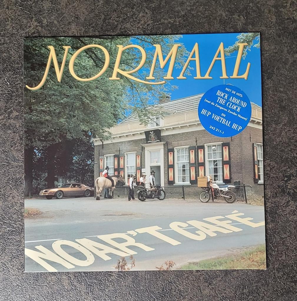 Normaal, Ophalen of Verzenden, Gebruikt, 12 inch, Levenslied of Smartlap