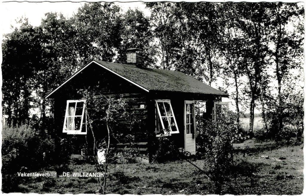 Ruinen dr, vakantieverblijf de wiltzangh, gelopen,, Verzenden, 1940 tot 1960, Gelopen, Drenthe