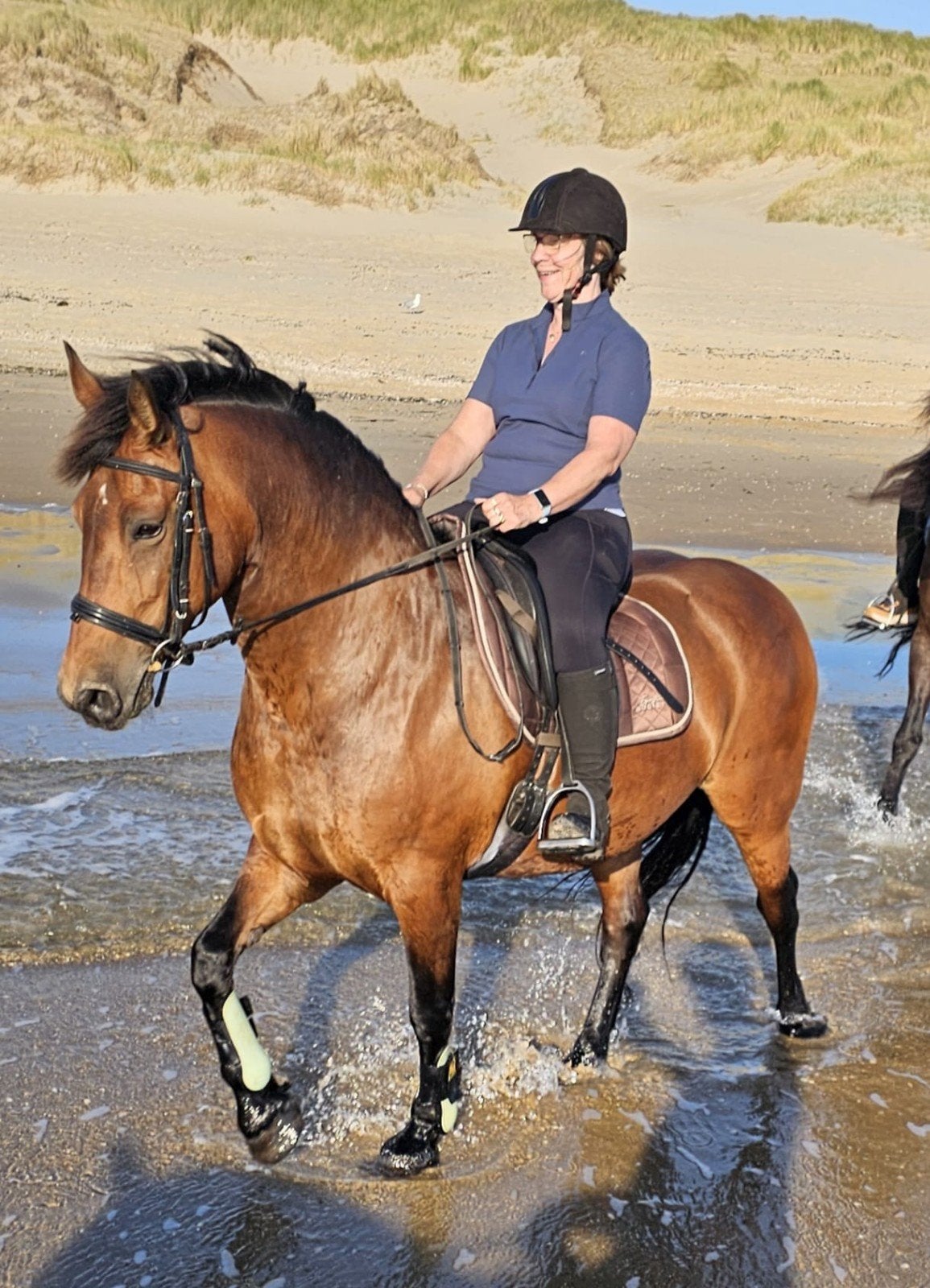Verschillende  paarden/pony's te lease!Ook op eigen Locatie!, Dieren en Toebehoren