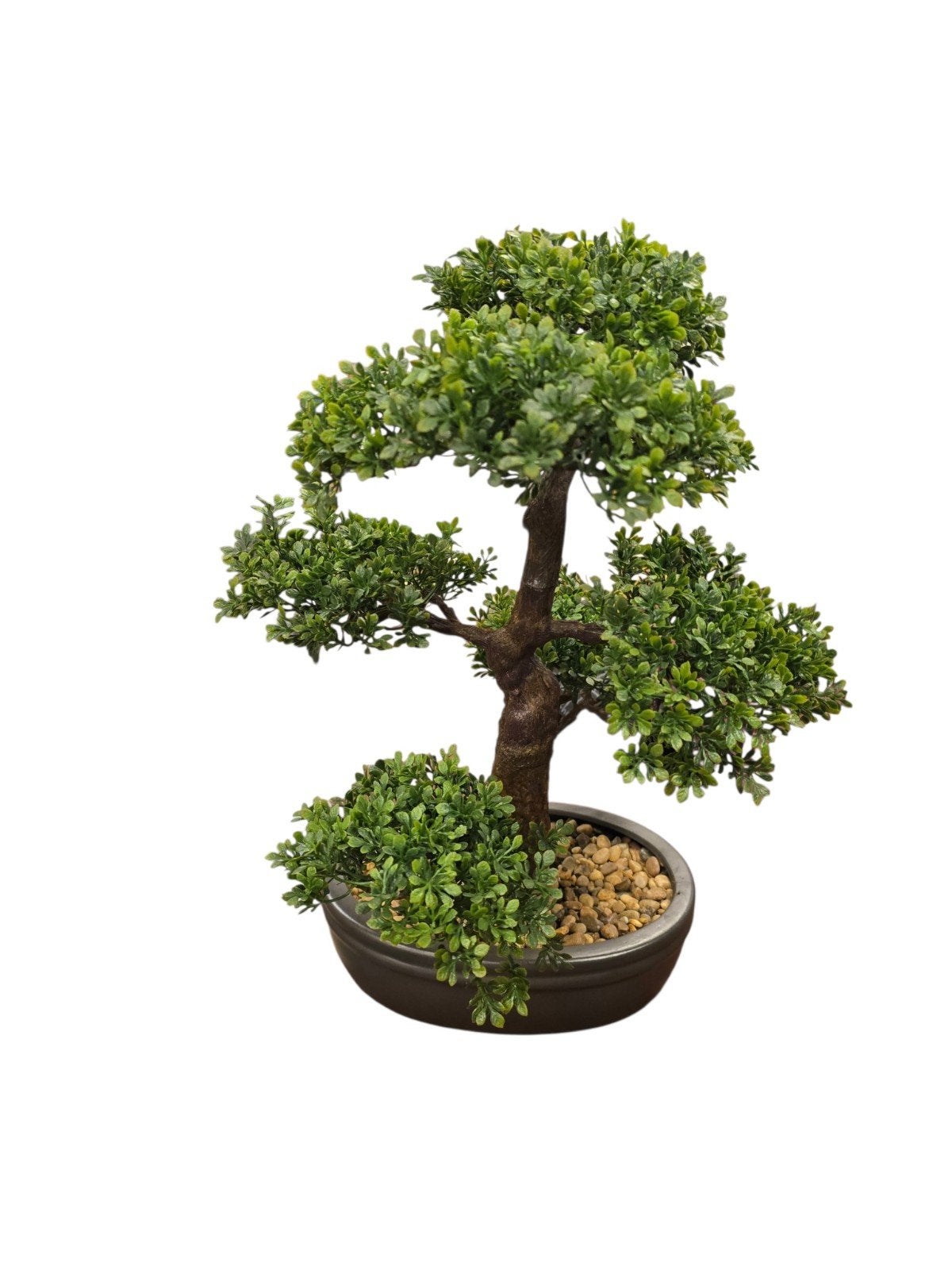 Bonsai boom in pot kunstplant ficus bonsai boompje, Ophalen, Binnen, Nvt, Nvt