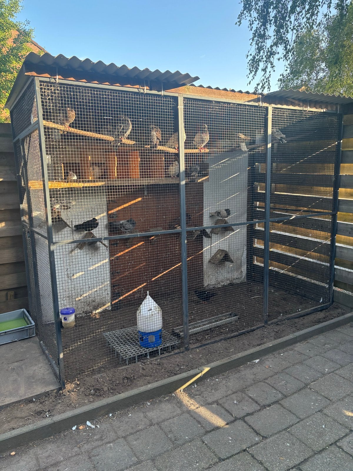 Kattenverblijf aluminium volliere kippenhok met golfdak, Ophalen, Hout, Overige typen