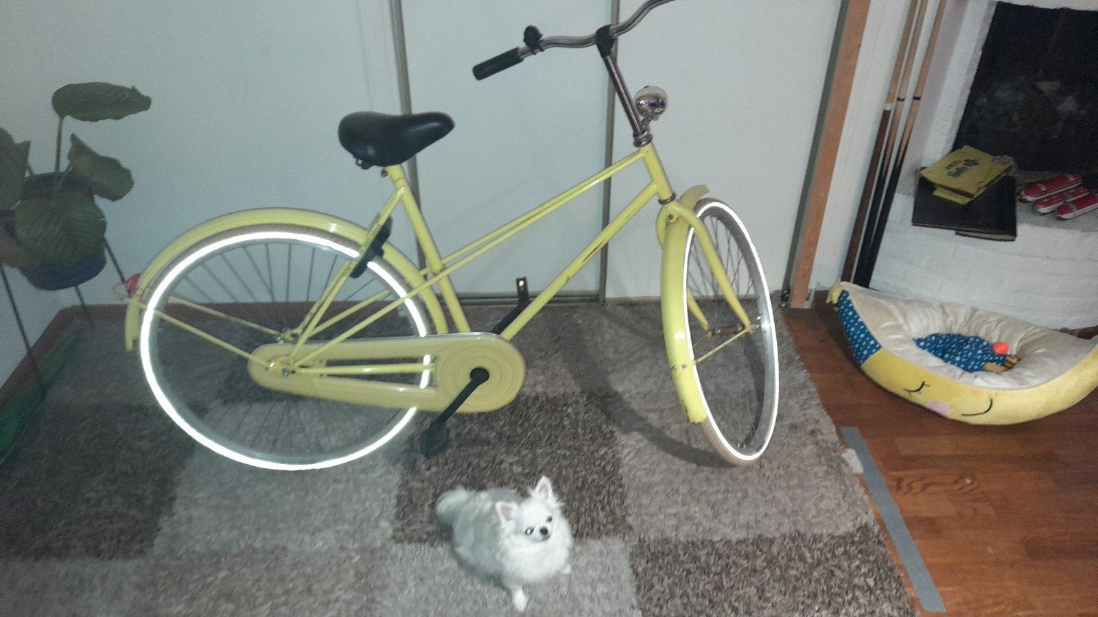 Opvallende Gele Stadsfiets - Makkelijk te Vinden!, Terugtraprem, Ophalen, Overige merken, 53 tot 56 cm