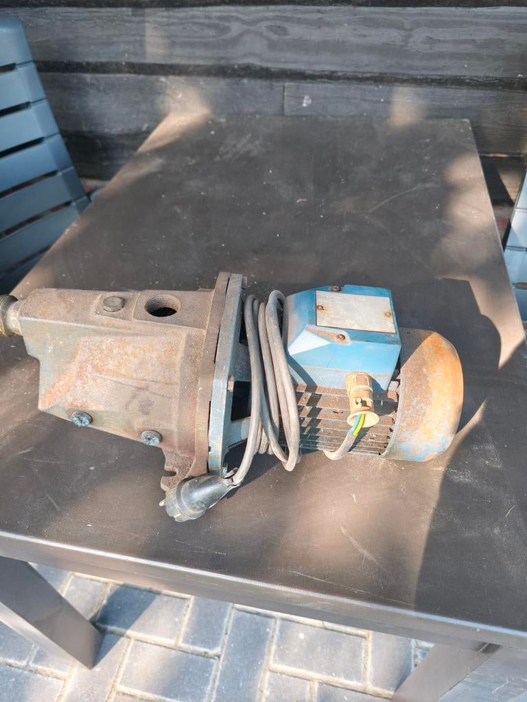 Pedrollo JSWm 10M zelfaanzuigende pomp, Ophalen, Gebruikt, Elektrisch, Beregeningspomp