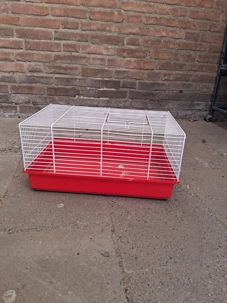 Leuke starter kooi, Dieren en Toebehoren, Kooi, Minder dan 75 cm, Zo goed als nieuw, Hamster