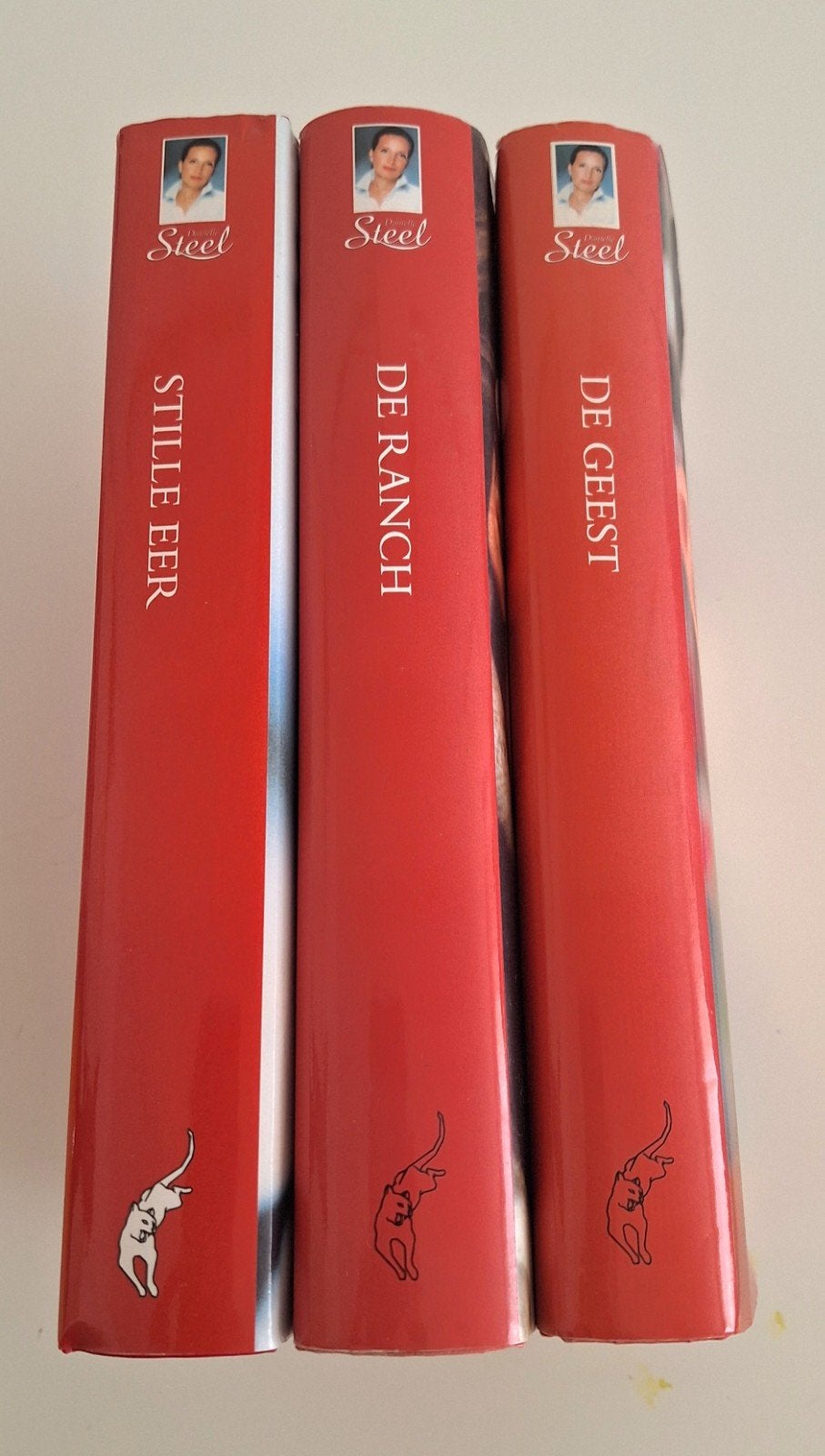 Mooi boeken van Daniëlle Steel, Ophalen of Verzenden, Gelezen