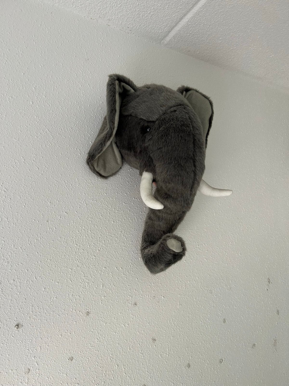 Pluche olifantenkop voor aan de wand, Gebruikt, Overige stijlen, Ophalen of Verzenden, Grijs