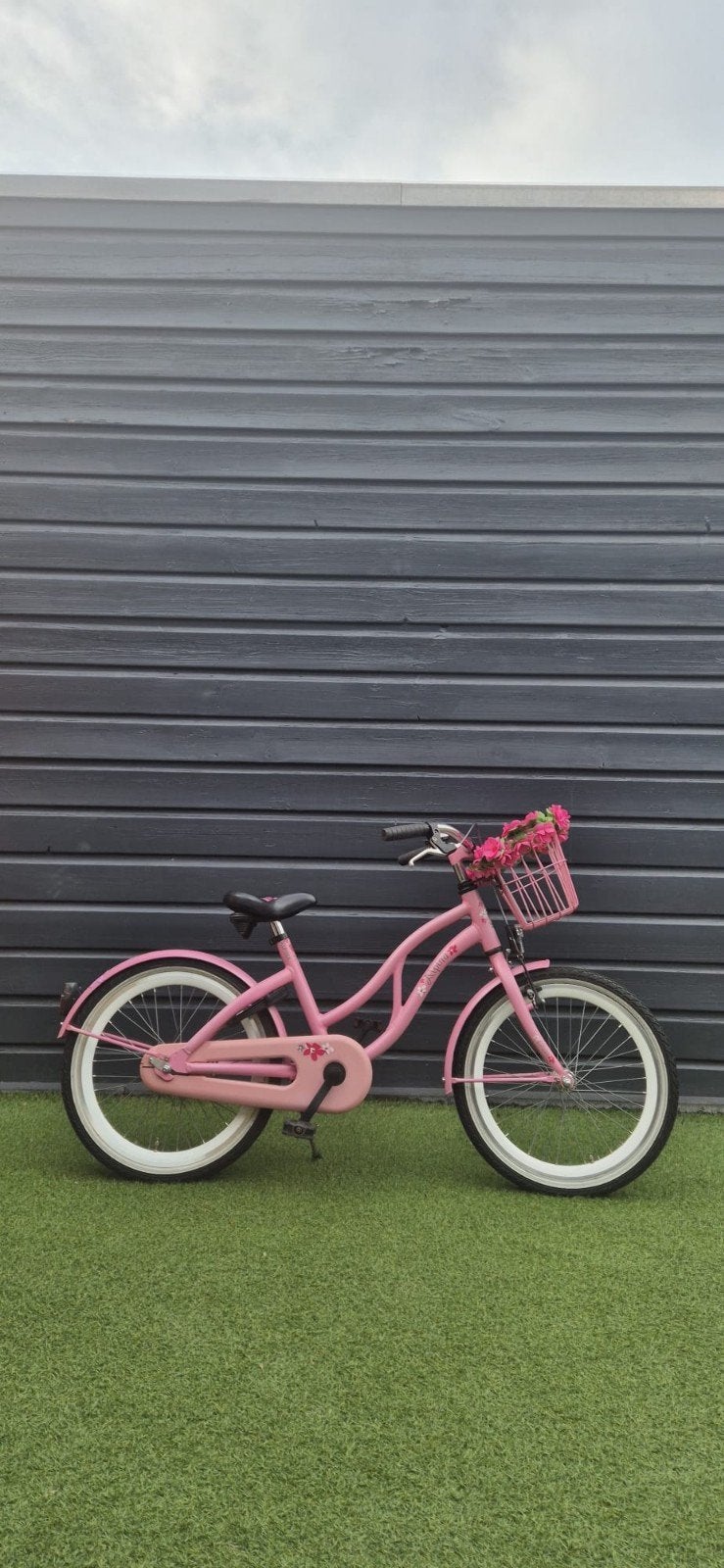 Alpina Ocean 20 inch Meisjesfiets, Fietsen en Brommers, Minder dan 47 cm, Ophalen, Gebruikt, Staal