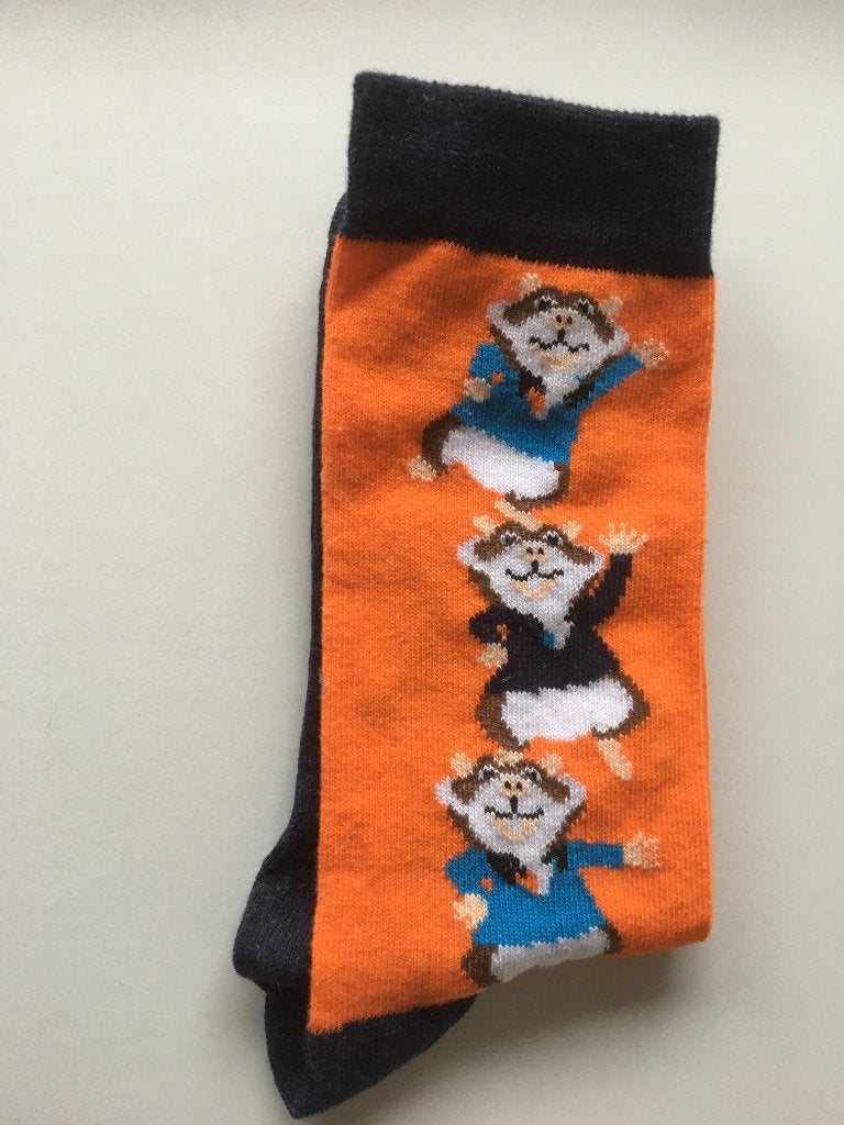 Voor Hamster fans! Nieuwe AH hamster sokken | maat 36 40, Jongen of Meisje, Nieuw, Ophalen of Verzenden, Onbekend