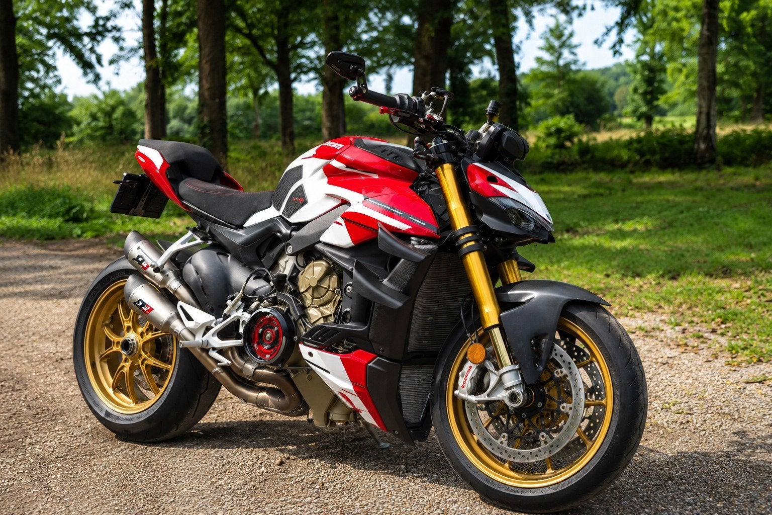 Unieke Ducati Streetfighter V4 S 2020 zeer rijk uitgevoerd!, Motoren, Motoren | Ducati, Bedrijf, Naked bike, meer dan 35 kW, 4 cilinders