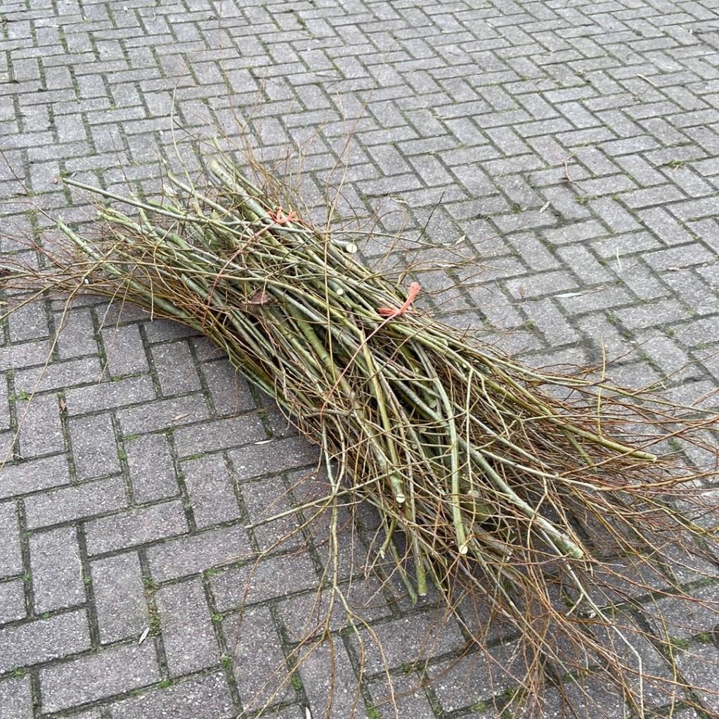Wilgentakken/Snoeihout gevraagd, Tuin en Terras, Schuttingen, Ophalen, Gebruikt, Minder dan 3 meter, 2 meter of meer