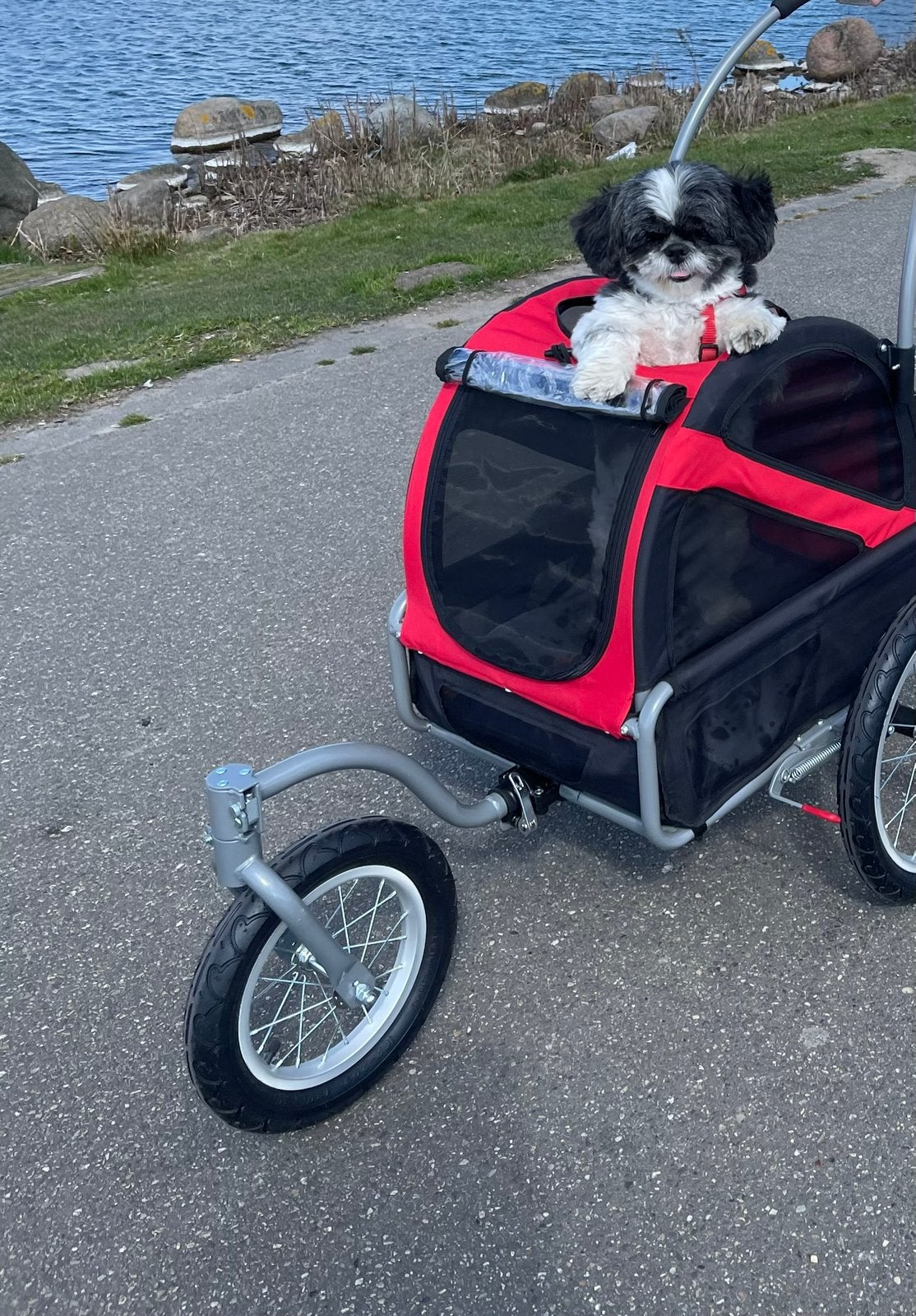 Hondenfietskar Doggyride Mini 20, Ophalen, Zo goed als nieuw