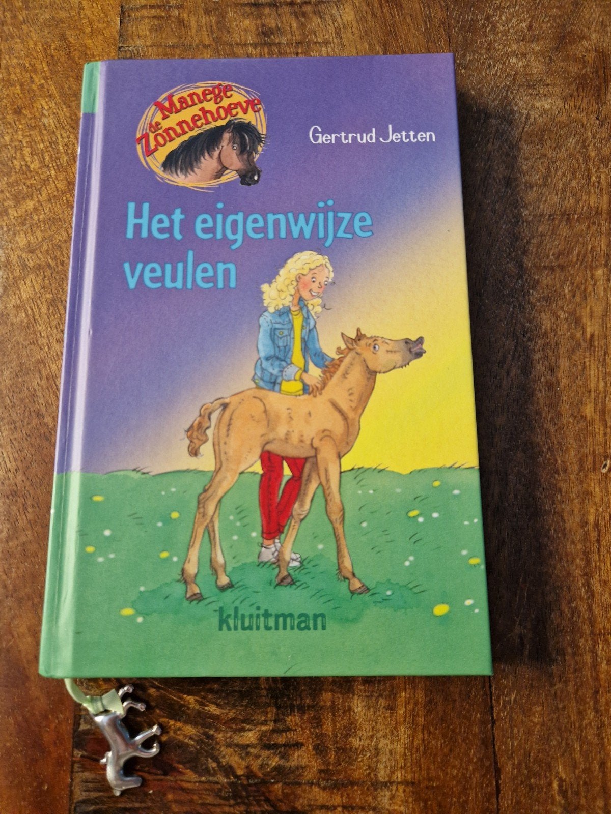 Manege de Zonnehoeve: Gertrud Jetten - Het eigenwijze veulen, Boeken, Fictie algemeen, Ophalen of Verzenden, Zo goed als nieuw