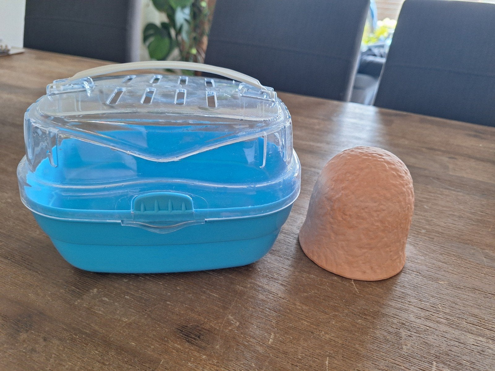 hamster transportkooi en huisje, Dieren en Toebehoren, Ophalen, Zo goed als nieuw, Transportkoffer of -box