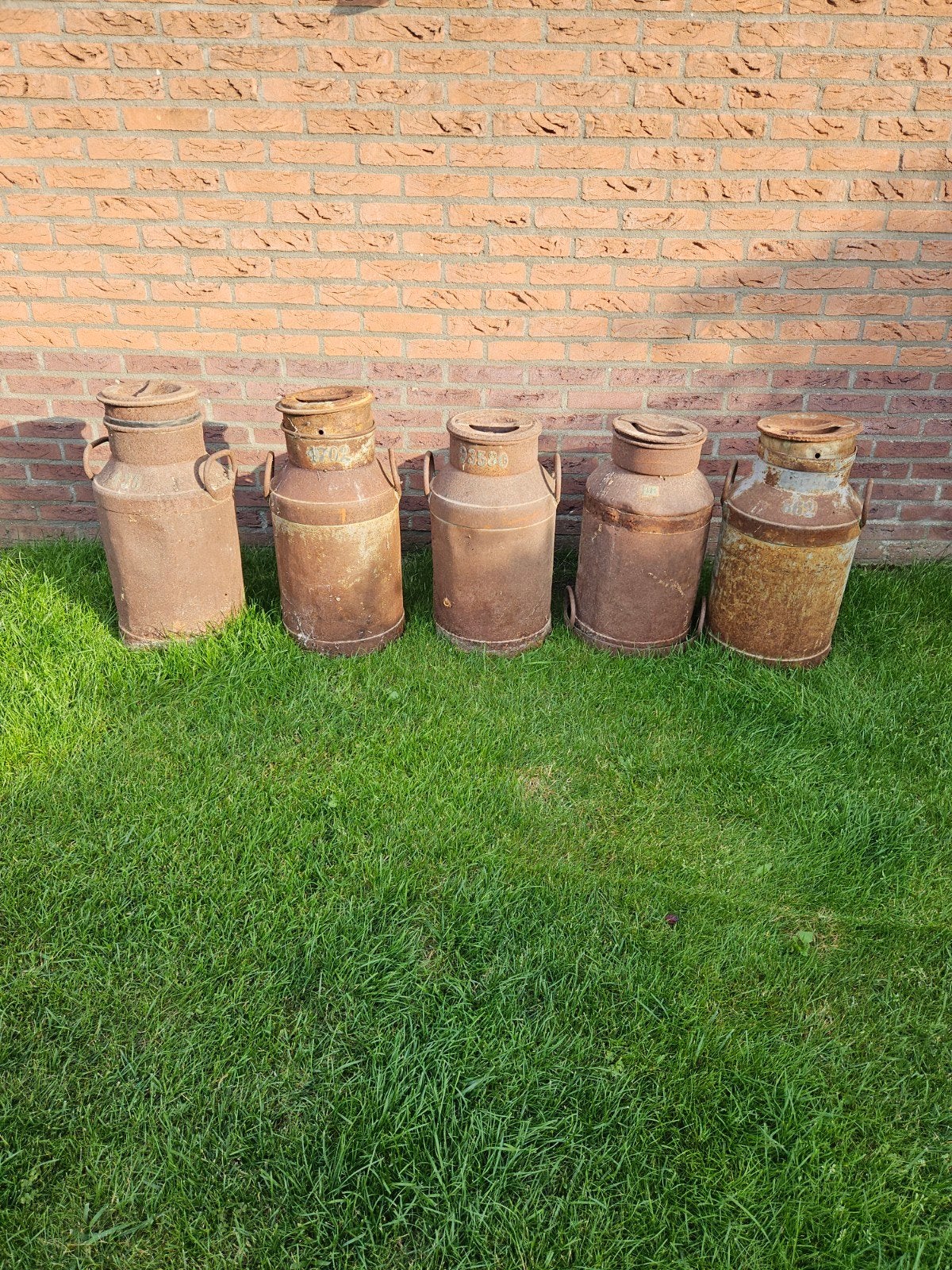5 Antieke Roestige Melkbussen, Ophalen