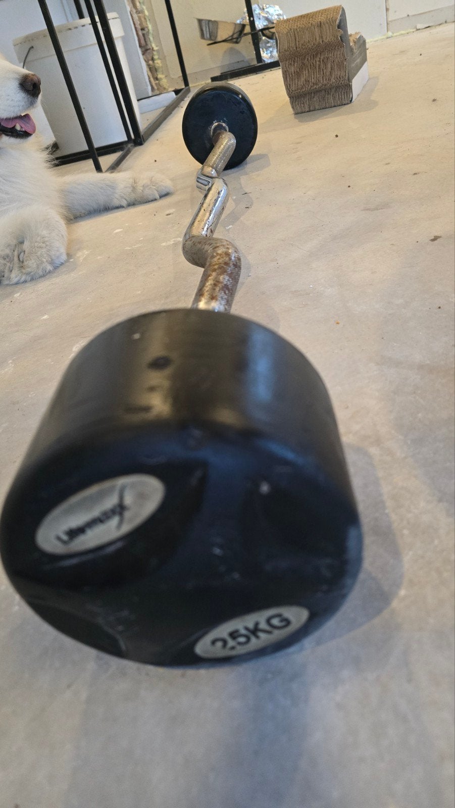 EZ Curlstang 25kg, Sport en Fitness, Ophalen, Gebruikt, Armen, Halterstangen